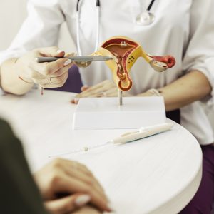 maqueta utero c